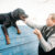 Jak radzić sobie z niewłaściwym żuciem u psa: Sposoby zapobiegania i korekty